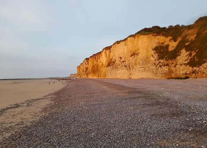 Les Roses A La Plage