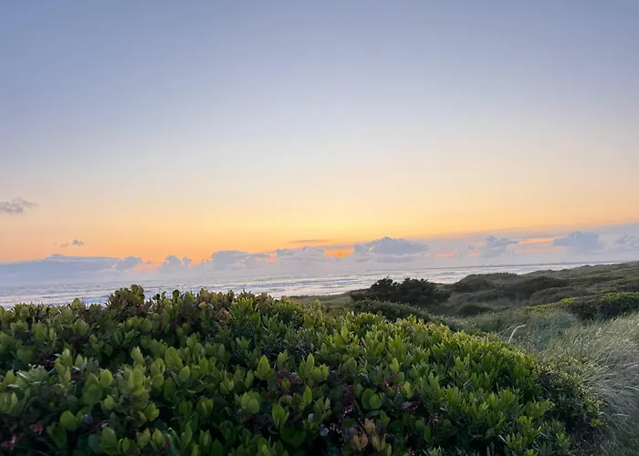 Surf Shack 2: Cozy Cabin + Wi-Fi