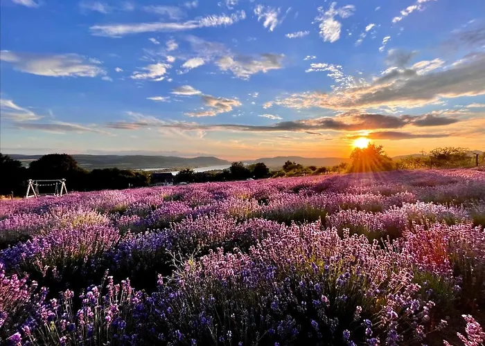 Natura Hill Zebegeny - Butik Szobak Es Etterem