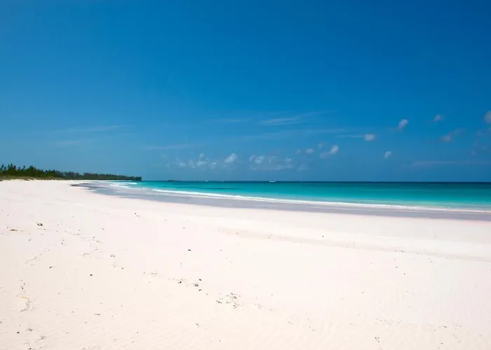 Salty Dolphin Home