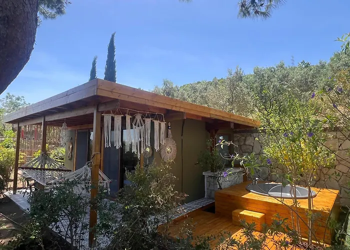 Casa Del Olivia