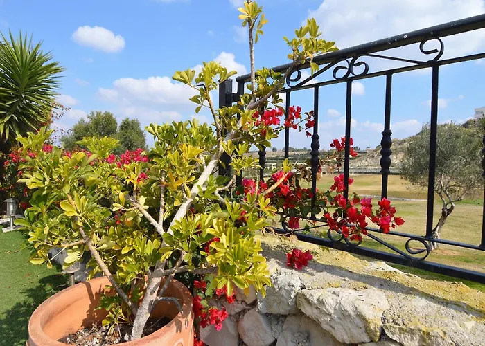 Luxury Villa Near Costa Blanca