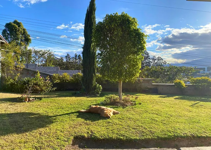 Las Hortensia'S Casa De Huespedes - Cerca Del Aeropuerto