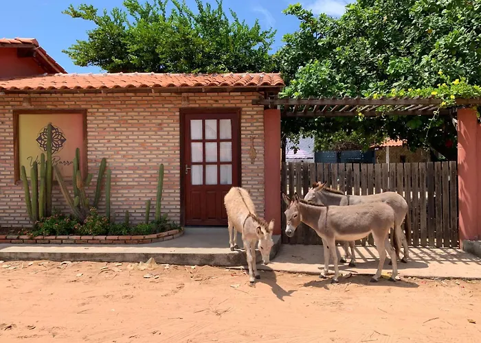 Pousada Viva Barra - Barra Grande - Piauí