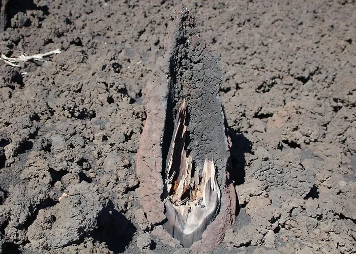 Rifugio Il Ginepro Dell'Etna