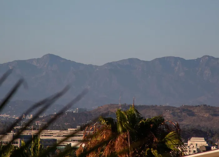 Overlooking Marina Del Rey Sailboats, Is Green Ginger Playa Del Rey On The Bluff,