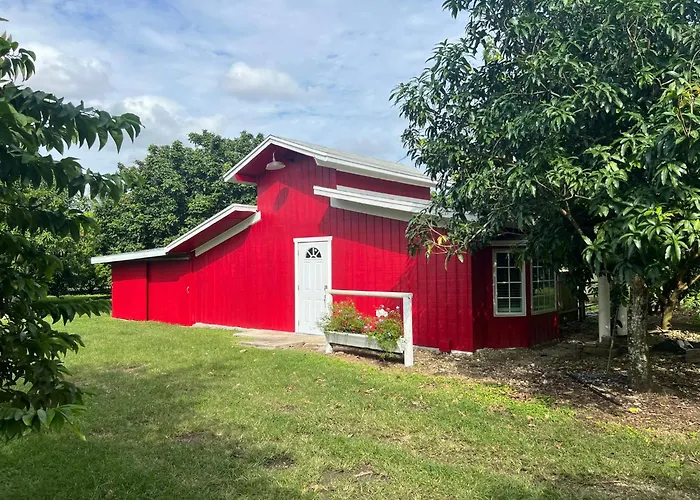 Tiny Farm Retreat Near Miami, Nature And Animal Experience