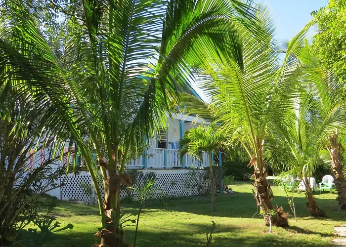 Orchid Cottage Cottage