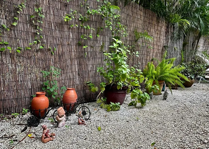 Flora'S Garden Apartment/Studio