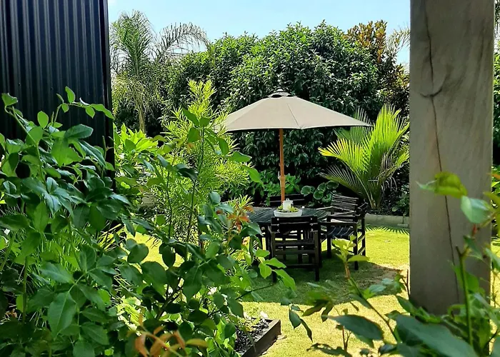Tree View Studio