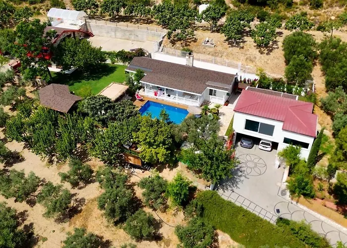 Casa Del Olivia
