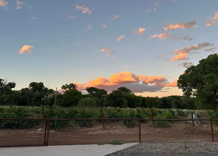 Riesling Retreat