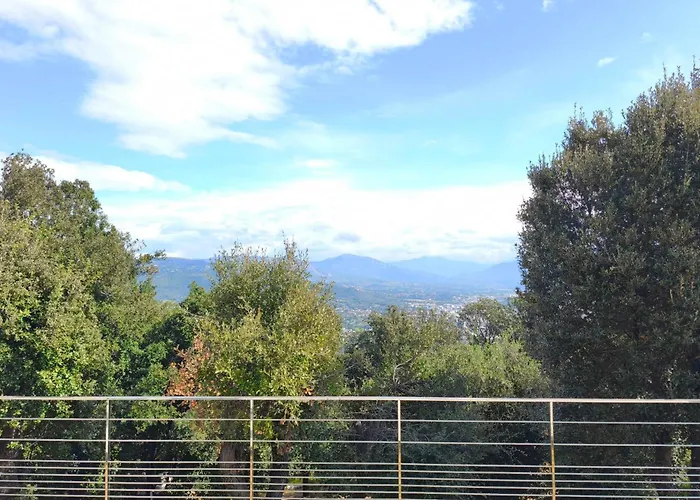 Apartment 3 Rooms With Garden In Ajaccio