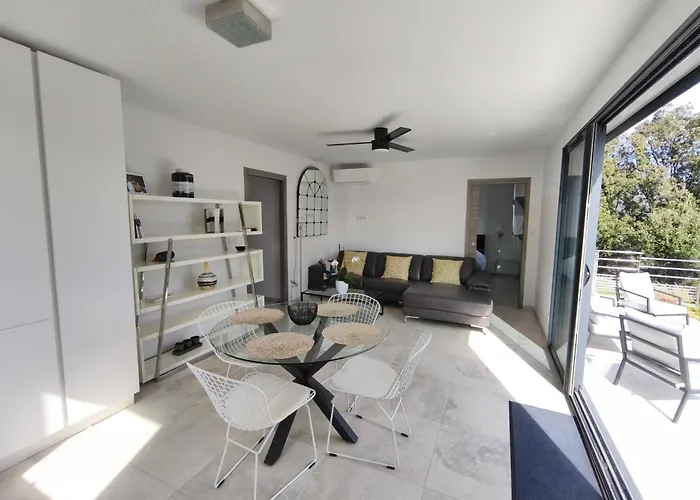 Apartment 3 Rooms With Garden In Ajaccio