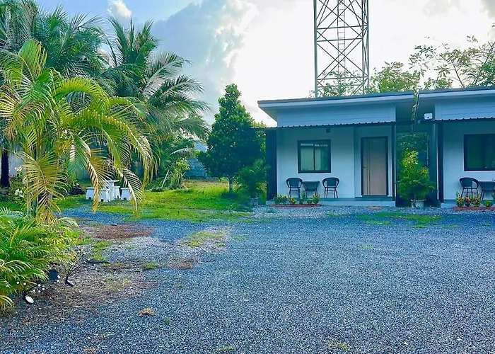 Palm Tree Hideaway