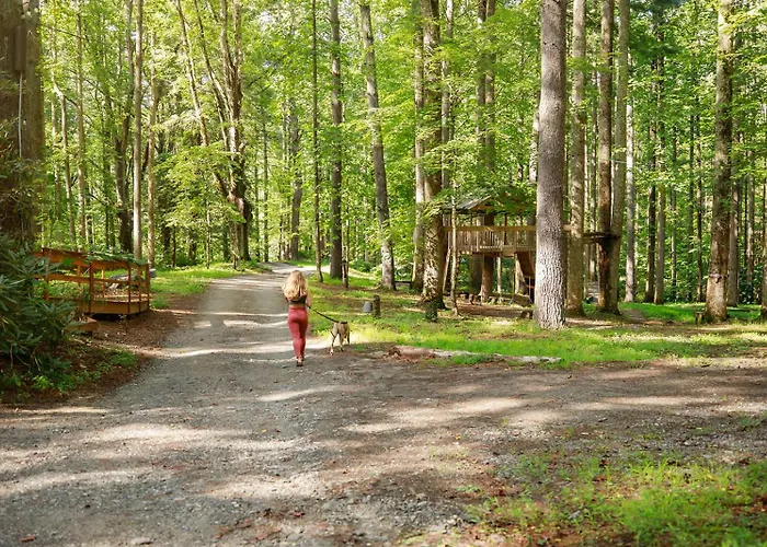 Saluda Summit Cabin At Cabin Fever