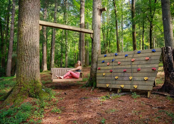 Buzzard Roost Cabin At Cabin Fever In Nc