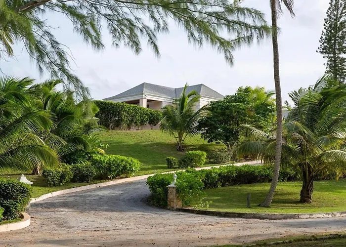 Palm Hill House Home