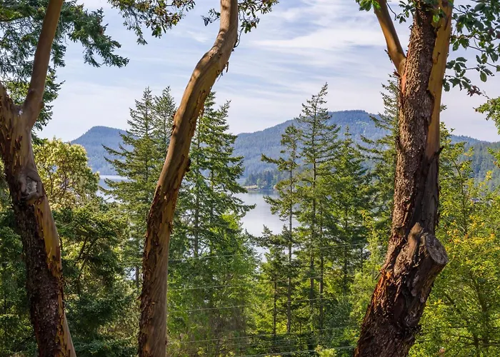 Beautiful Waterviews, Pet-Friendly, Close To Town