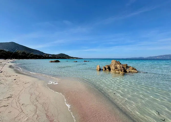 A Casetta Porticcio Spacieux T2 50M2 Neuf Terrasse & Jardin Privatif A 3Min Des Plus Belles Plages