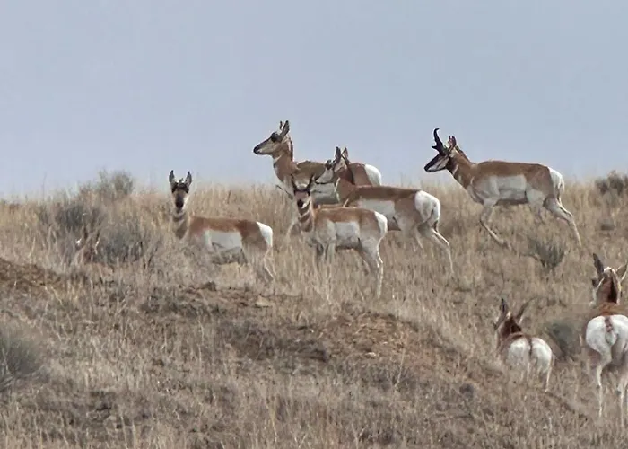 20 Min From Butte, Minutes From The Big Hole River