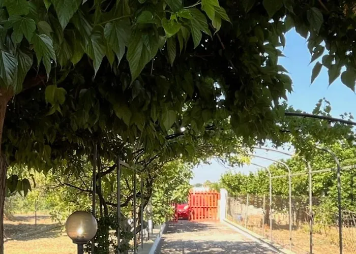 Vendrisine Lacco Rosso 1436