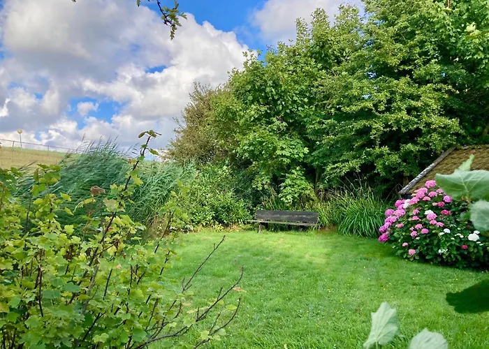 4 Pers - Modern Holiday Home With Garden, Close The Lauwersmeer