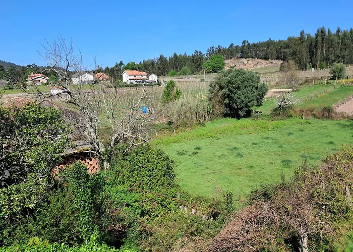 Ninho Das Andorinhas