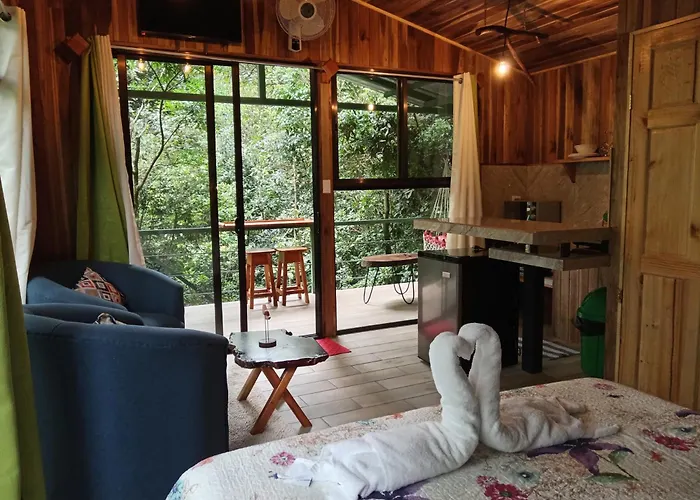 Jungle Living Tree Houses
