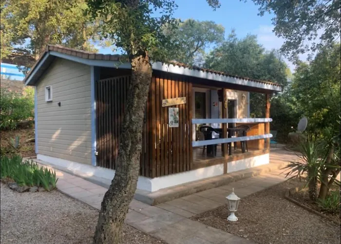 Chalet A Gassin Au Calme Sous Les Pins