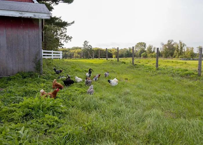 Historic Farmhouse W/ Fire Pit: Pet Friendly!