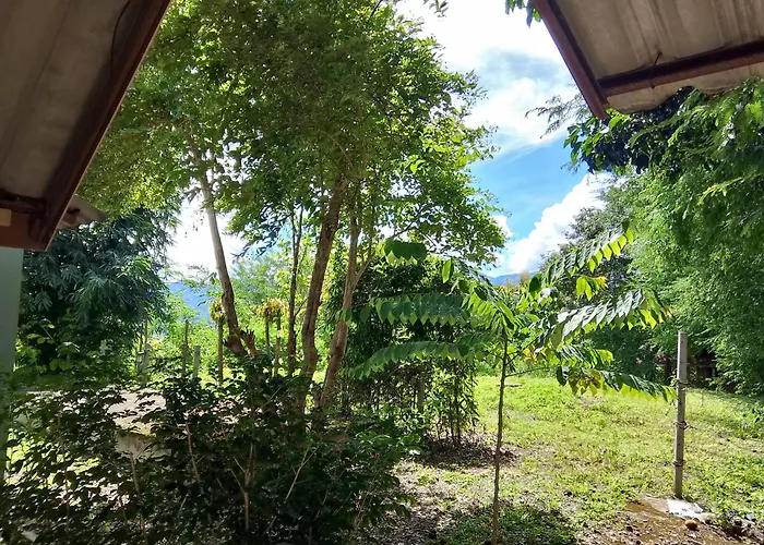 Kiniman Home