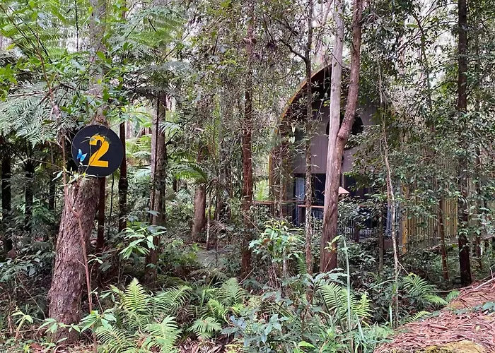 Springbrook Mountain Chalets