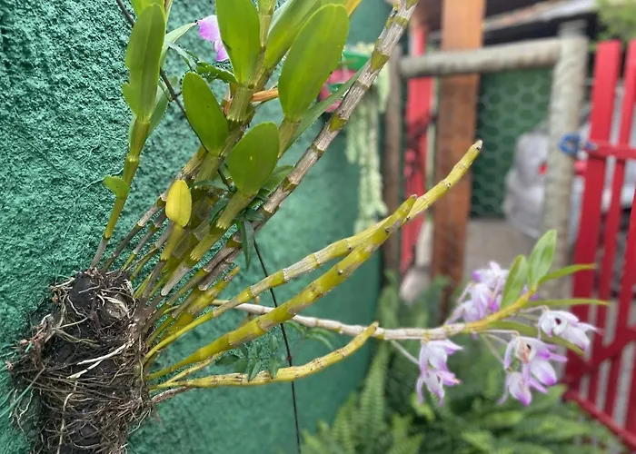 Pouso da Lua