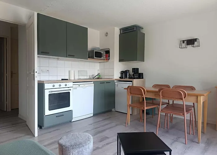 T3 Avec Terrasse 6 Personnes, La Joue Du Loup