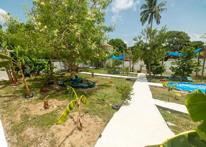 Studio 2 Yabisi With Garden Access
