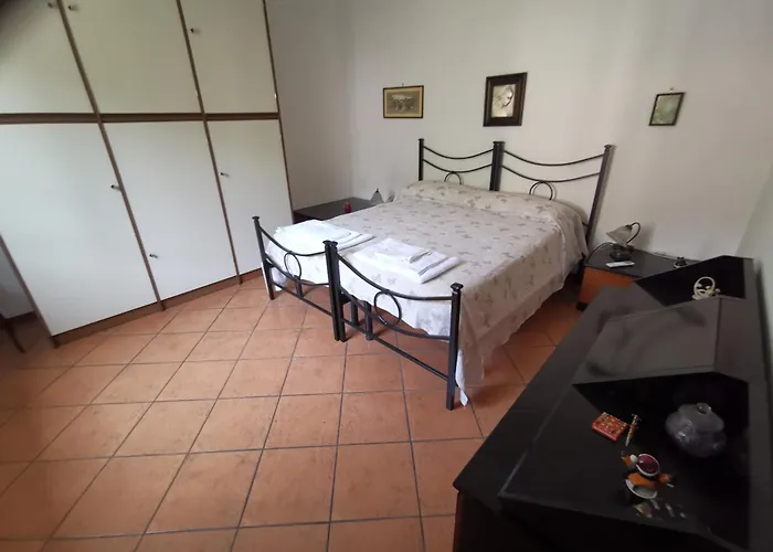 Vacanza nel boschetto