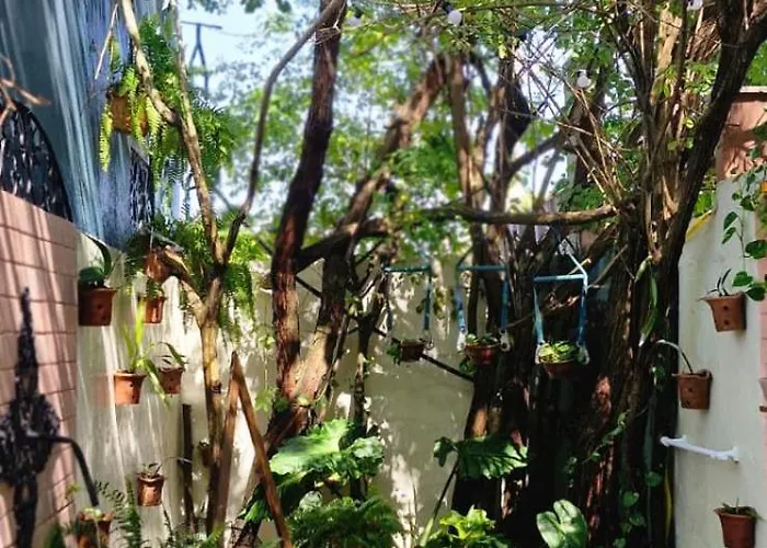 Loft do QUINTAL 21