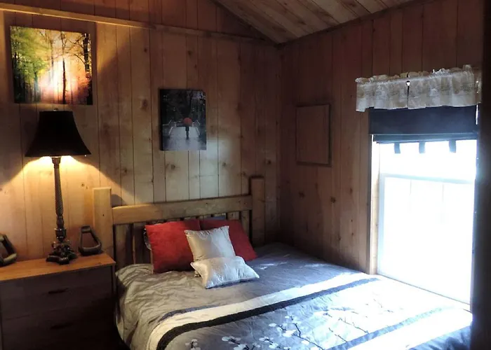 Cozy And Comfortable Cabin Rental Just 15 Minutes From San Antonio, Texas
