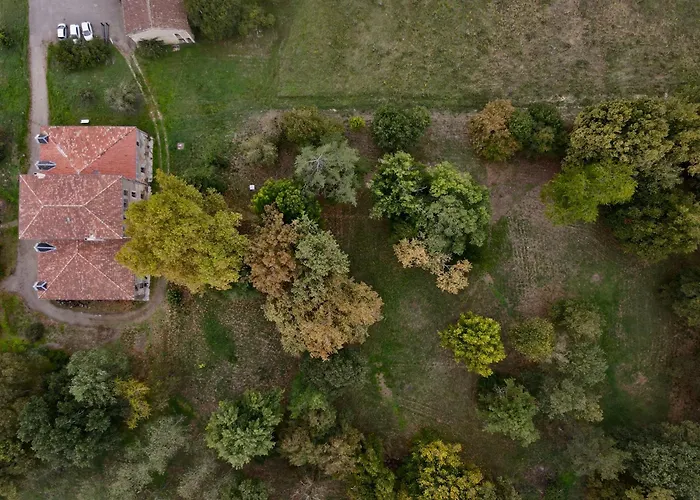 Domaine De Mathabiau