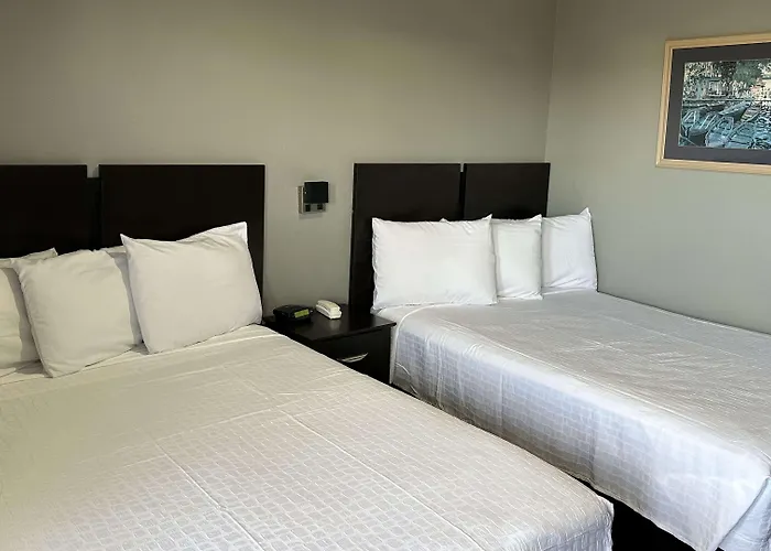 Americas Best Value Inn And Suites Groves