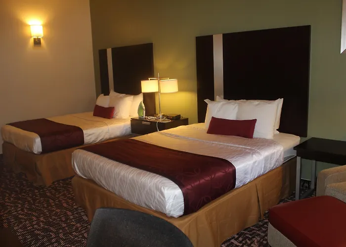 Best Western Plus The Woodlands