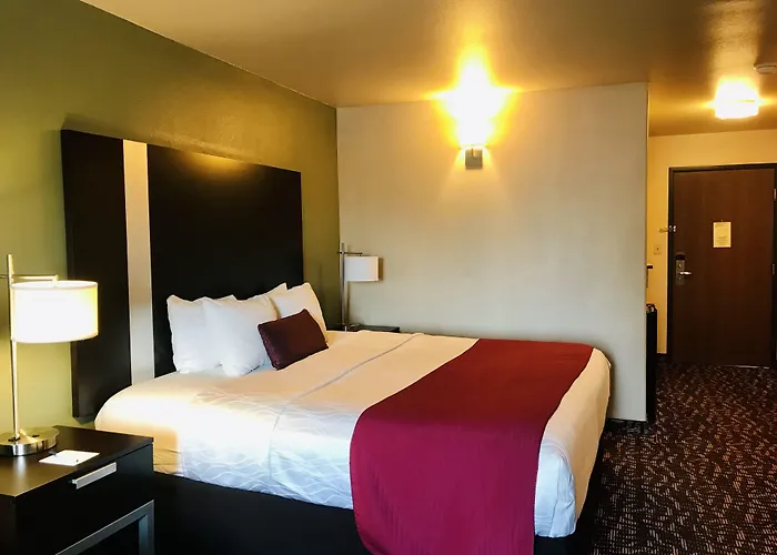 Best Western Plus The Woodlands