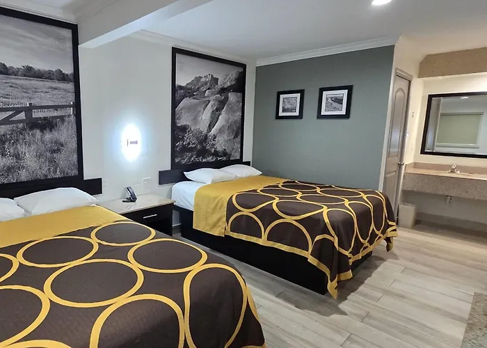 Super 8 By Wyndham Mcallen-La Plaza Mall-Downtown