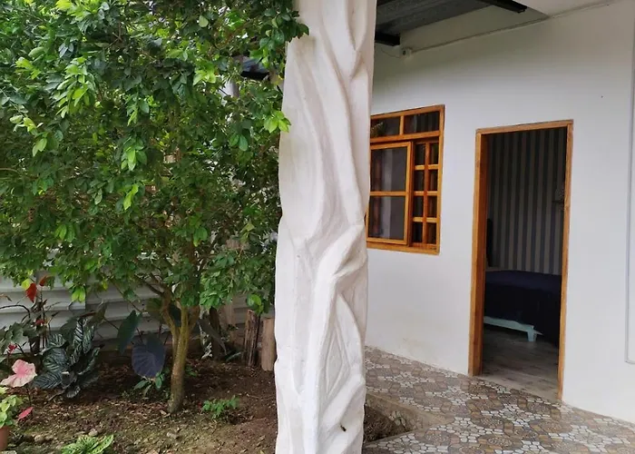 Alma Del Bosque