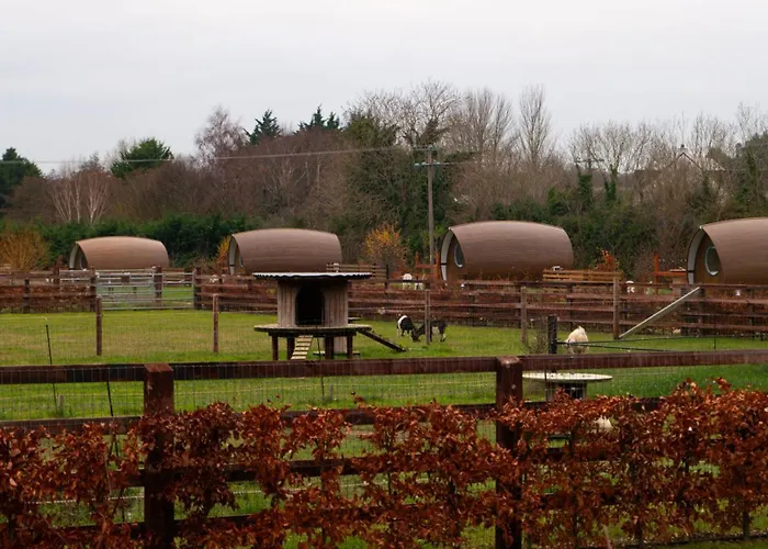 Hidden Acres- Luxury Glamping Pod Sage