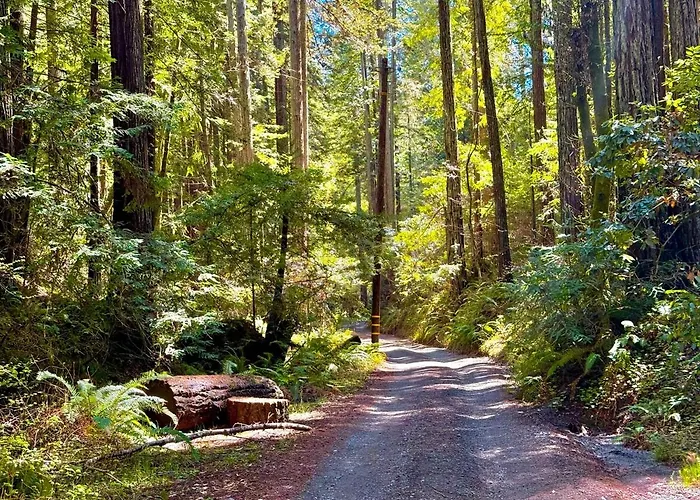 Cozy Cabin Deep In The Redwoods With Wifi And Hot Tub