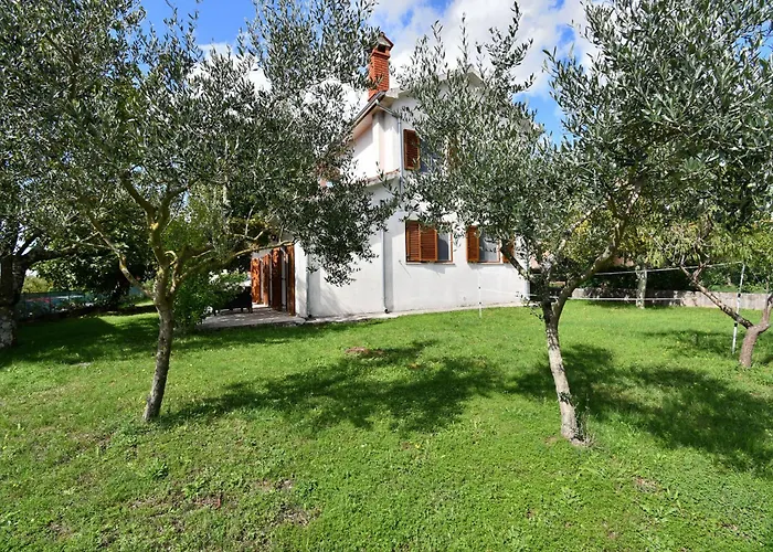 House Villa Lili