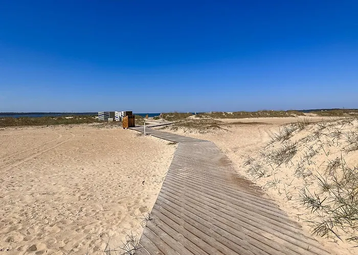 Pine Forest Beach House
