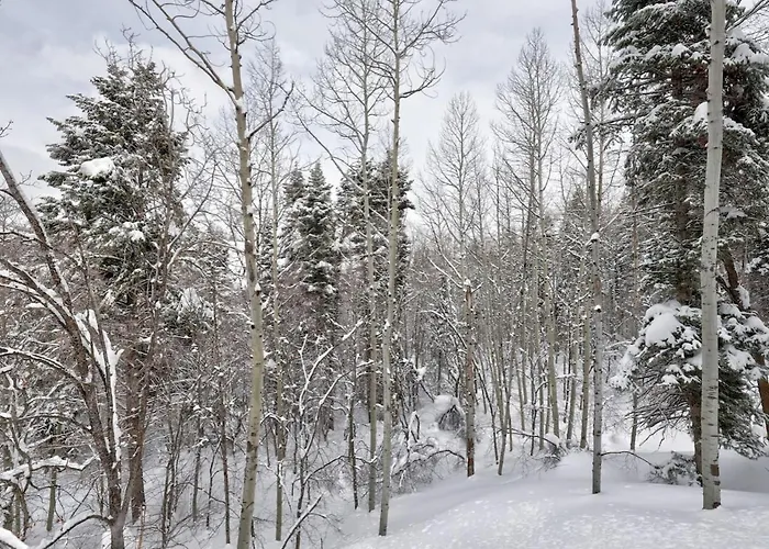 Mountain Haven Sundance Utah